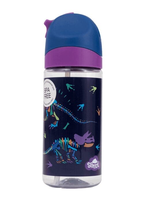 Little Water Bottle - 420ml – Dino Bones